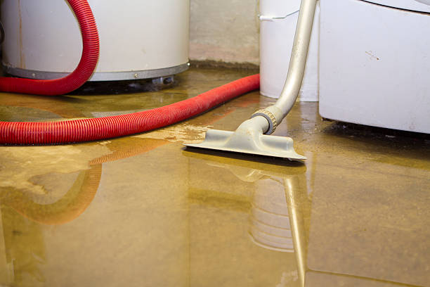 Best Ceiling water damage repair  in Talluh, LA