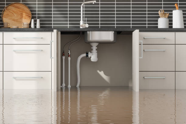 Best Water damage restoration services  in Talluh, LA