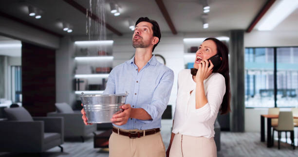 Best Flooded house restoration  in Talluh, LA